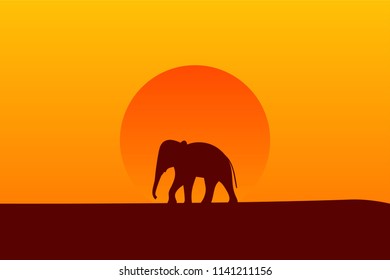 Savanna sunset background. Wildlife Vector illustration. African landscape with elephant silhouette. Vector illustration