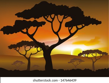 savanna sunset vector background