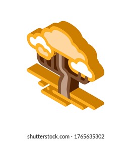 Savanna Tree Icon Vector. Isometric Savanna Tree sign. color isolated symbol illustration
