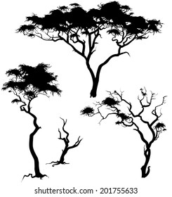 Savanna Trees Silhouettes On White Background