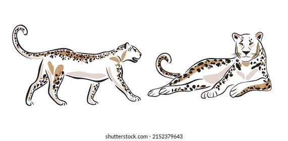 Savanna wild animals set. Abstract African animal. Leopard silhouette. Vector Illustration