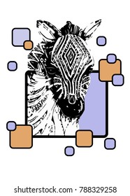 Savanna zebra, vector,