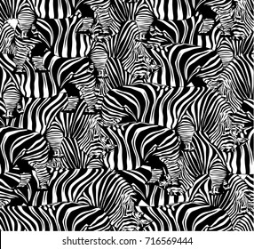 Tiger Zebra Seamless Pattern Wild Life Stock Vector (royalty Free 