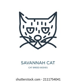savannah cat thin line icon. cat, predator linear icons from cat breed bodies concept isolated outline sign. Vector illustration symbol element for web design and apps.