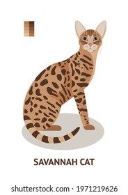 Savannah cat - vector illustration in flat style