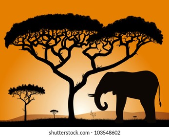 Savannah - elephant. Dawn in the African savanna. Silhouettes of trees and elephant against the backdrop of an orange sky.