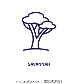 savannah icon from nature collection. Thin linear savannah, africa, animal outline icon isolated on white background. Line vector savannah sign, symbol for web and mobile