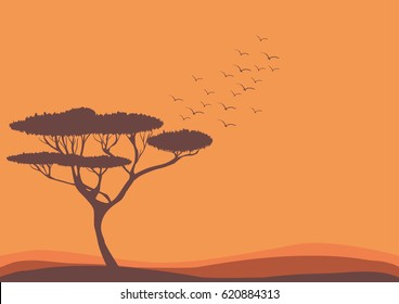 Savannah landscape, acacia tree and birds 
vector nature illustration