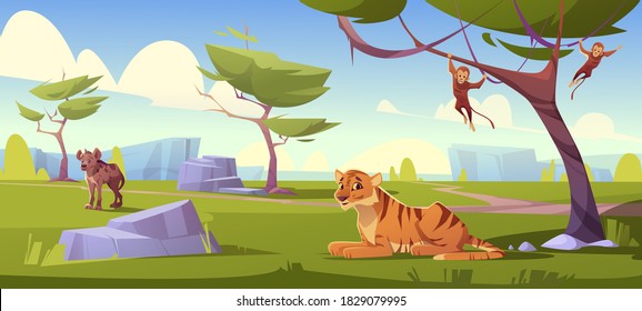 Savannah landscape with tiger, monkeys and jackal. Vector cartoon scenery of african savanna, summer natural park or tropical safari with wild animals, green trees and stones