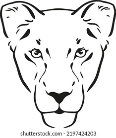 Savannah lioness vector illustration art.