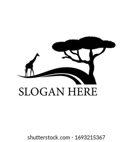 Savannah logo. Silhouette of a giraffe and african tree isolated on a white background. Stock vector illustration.