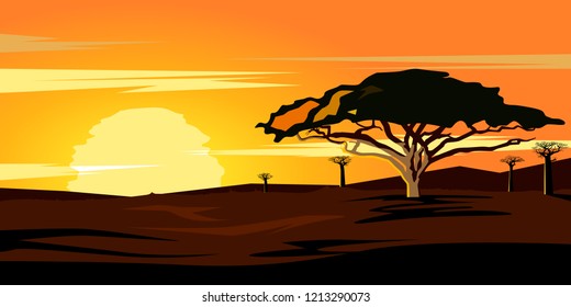 Savannah orange sunset