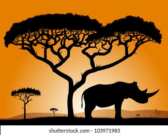 Savannah - rhino. Dawn in the African savanna. Silhouettes of trees and a rhino on the background of the sky orange.