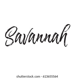 savannah, text design. Vector calligraphy. Typography poster. Usable as background.