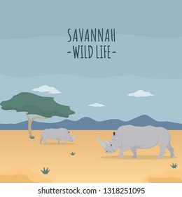 Savannah Wild Life with Rhinoceros