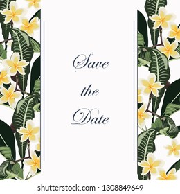 Save the Date Card Template with Frame and white tropical plumeria  Flowers branch with leaves. Wedding Invitation, Greeting with Floral Ornament.