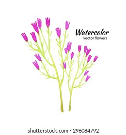 Save the Date card with watercolor flowers and branches and butterflies.