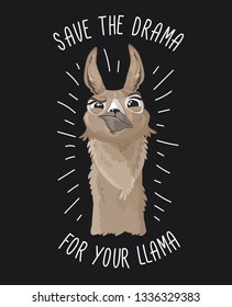 Save the drama for your llama print with funny alpaca head on dark backround. Llama motivational print. Vector alpaca meme illustration.