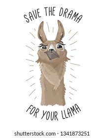 Save the drama for your llama print with funny alpaca head on white background. Llama motivational print. Vector alpaca meme illustration.