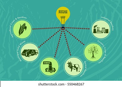 Save environment and green energy concept. Alternative way of producing electricity using biomass technology to light up the bulb.