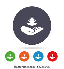 Save forest sign icon. Hand holds Christmas tree symbol. Environmental protection symbol. Round colourful buttons with flat icons. Vector