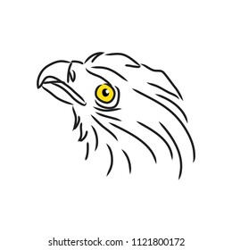 
 Save

Illustration of eagle head. Logo concept.