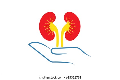Save kidney