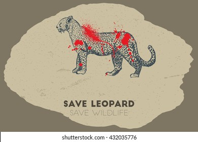 Save leopard save wildlife. Gun shot with blood over leopard.
