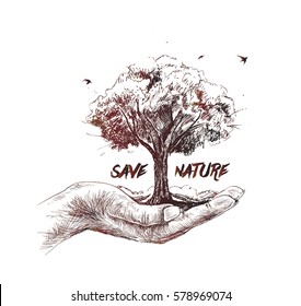 Save nature human hand holding tree against white background, Ecology and Earth day concept.