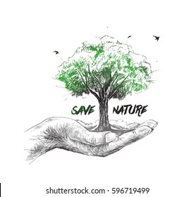 Save nature human hand holding tree against white background, Ecology and Earth day concept.