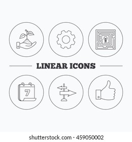 Save nature, thumb up and direction icons. Problem challenge, like linear signs. Flat cogwheel and calendar symbols. Linear icons in circle buttons. Vector