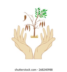 Save our planet. Hands and tree. Concept illustration