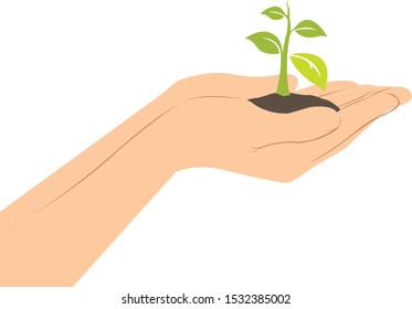 save plants by planting trees