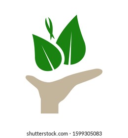 Save the plants icon vector illustration design template