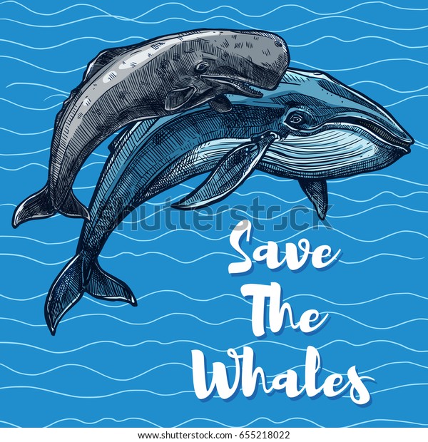 Save Whales Poster Sea Animal Saving Stock Vector (Royalty Free) 655218022