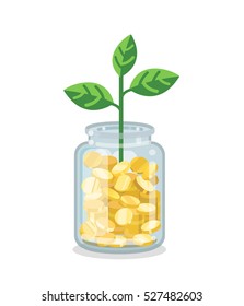 Saving Flat Money Jar With Growing Plant