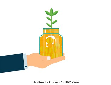 Saving for prepare in future and Business investment concept, Vector illustration EPS10 of Businessman holding stack of gold coin money  in the glass bottle and plant growing on white background