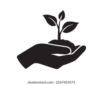 savings and earnings. A pair of hands holding a sapling in their palms.