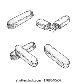 Savoiardi biscuit in sketch style set. Hand drawn Italian dessert tiramisu ingredient collection. Traditional Italian sweets. Vector illustrations.