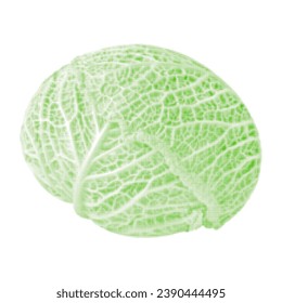 Savoy cabbage whole one, from green circle dots of different sizes on white background