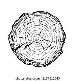 Saw cut tree trunk hand drawn in doodle style. Line drawing of a round stump. Isolated vector illustration.