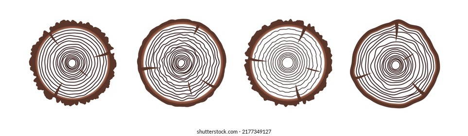 Saw cut tree trunk isolated on white background. Vector illustration 10 eps