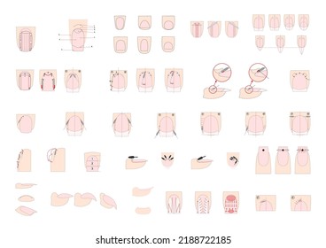 Sawdust material. Professional manicure guide. Manicure instructions collection. Correct use of the cutter. Nails polish.