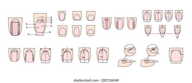 Sawdust material. Professional manicure guide. Manicure instructions collection. Correct use of the cutter. Nails polish.