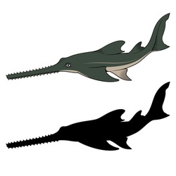 Sawfish. Vector Clipart. Color And Black Versions.