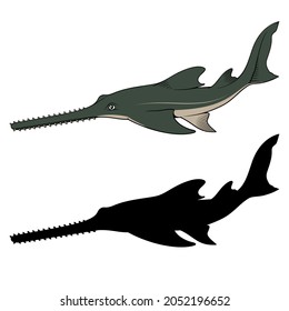 Sawfish. Vector clipart. Color and black versions.