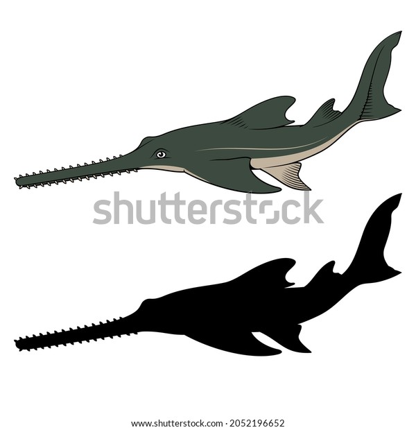 Sawfish Vector Clipart Color Black Versions Stock Vector (Royalty Free ...