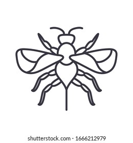 sawfly insect over white background, line detail style icon, vector illustration