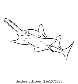 sawshark line vector illustration, sawfish sketch