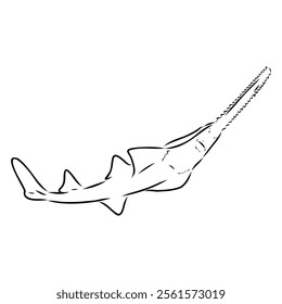 sawshark line vector illustration, sawfish sketch
